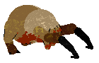 New Lambda/Beefy'z NPC_scientist_scream_07.wav — “Louise”