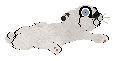 ZCP's A Smidge Too Small — “Caspian”