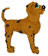 Chestnut's These Spots Aint Nothin — “Gupta”