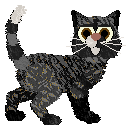 Beefy'z Une vie à t'aimer — “Verso”