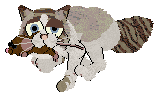 Aniseed/Calluna's Winsome Glance — “Chervil”