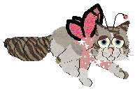 Aniseed/Calluna's Winsome Glance — “Chervil”