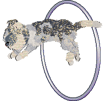 FK/Calluna's Wildest Dreams — “Meredith”