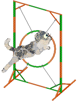 FK/Calluna's Wildest Dreams — “Meredith”