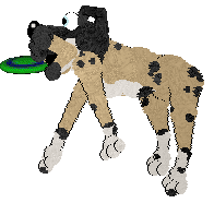 Sz's Happy Returns @ Mockingbird — “Jolly”