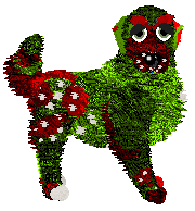 Tangle's Lit Up Like a Christmas Tree — “Christmas Tree”