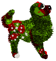 Profile image of Tangle's Lit Up Like a Christmas Tree