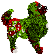 Profile image of Tangle's Lit Up Like a Christmas Tree