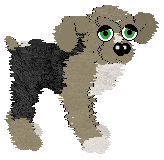 Phantasm/Tangled's Most Authentic Dog — “Factor”