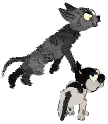 Ferality's Black Cat's Gold @ Mockingbird — “Citrine”