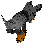 Ferality's Black Cat's Gold @ Mockingbird — “Citrine”