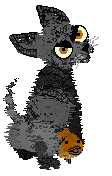 Ferality's Black Cat's Gold @ Mockingbird — “Citrine”