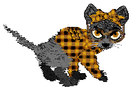Ferality's Black Cat's Gold @ Mockingbird — “Citrine”