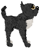 Witz's Secret Playable Character — “Bleu”