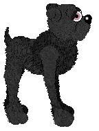 Witz's Traveling Circus Trap — “Spar”