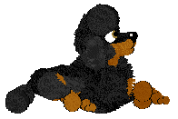 WAA/Beefy'z If A Ghost Touches My Wig He's Dying Twice — “Henry”