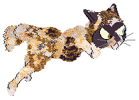 Sour's Raw and Unshelled — “Pecan”