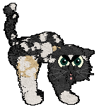 Profile image of Ferality's Little Voidling