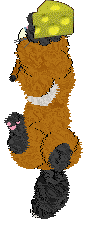 Ferality's Not A Fox — “Fox”