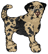 Profile image of Ferality's Fat Stack