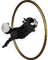 Calluna/Whimsy's Minted Majesty — “Pennyworth”