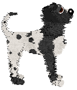 Blep/CHR's Last Call — “Shotglass”