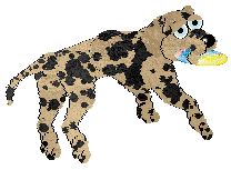 Poppyhill's Nilla Ice Ice Wafer — “Nilla”