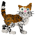 Ferality's Punkin Spiced Catte — “Punkie”
