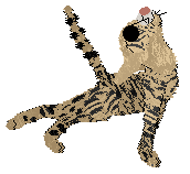 Ferality's Lost My Marbles — “Marbles”