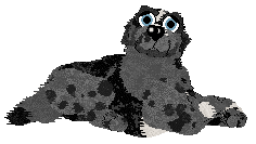 Perfume/Witz's Follow a Lead — “Bekhah”