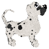 Funfetti/King's Dot and Spot — “Dotness”