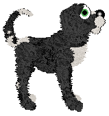 Profile image of Witz/King's Between My Pages