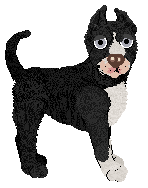 Profile image of Amphigory/Mockingbird's Evergreen Subshrub