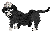 Profile image of King/FDL's Dark Maiden