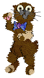 Profile image of AP Happy Little Accident