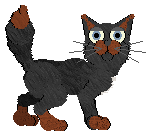 Profile image of NSP/Mockingbird's Doesn't Change