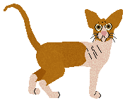 Ferality's Midnight Ballerina — “Tina”