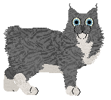 Ferality's Stormrider — “Storm”