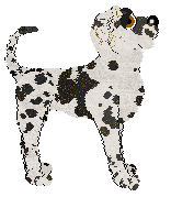 Ephemera/FDL's In Amber Caught — “Auréline”