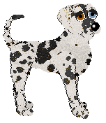 Ephemera/FDL's In Amber Caught — “Auréline”