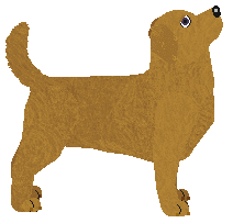 Peregrine Idea Fetcher — “Brainstorm”