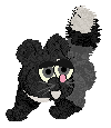 Profile image of Tea/Whimsy's Bearly Behaved