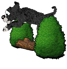 Cirrutopia's Law & Order — “Carisi”