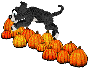 Cirrutopia's Law & Order — “Carisi”