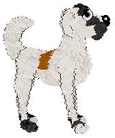 APK's Pretty Little Psycho — “Sunbae”