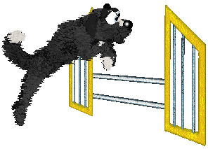 Cirrutopia's Lightning Strikes — “Blitz”