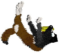 Cirrutopia's Battle Royale — “Fortnite”