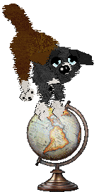 Cirrutopia's Battle Royale — “Fortnite”