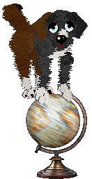 Cirrutopia's Battle Royale — “Fortnite”