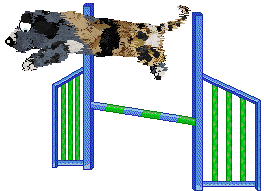 Perfume’s Tortoise in the Mist at Poppyhill — “Turtleneck”